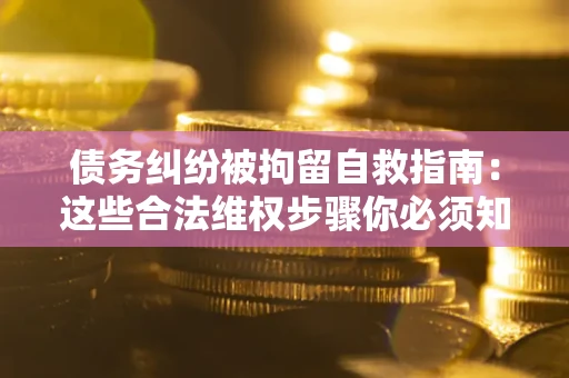 武汉债务纠纷被拘留自救指南：这些合法维权步骤你必须知道！