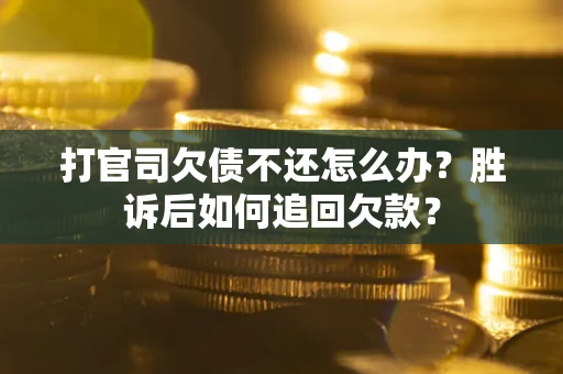 武汉打官司欠债不还怎么办？胜诉后如何追回欠款？