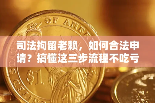 武汉司法拘留老赖，如何合法申请？搞懂这三步流程不吃亏！