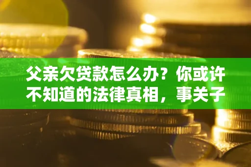 武汉父亲欠贷款怎么办？你或许不知道的法律真相，事关子女未来
