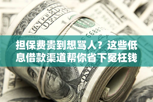 武汉担保费贵到想骂人？这些低息借款渠道帮你省下冤枉钱