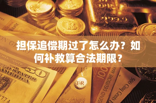 武汉担保追偿期过了怎么办？如何补救算合法期限？