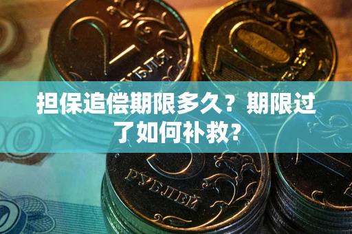 武汉担保追偿期限多久？期限过了如何补救？