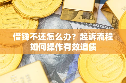 武汉借钱不还怎么办？起诉流程如何操作有效追债