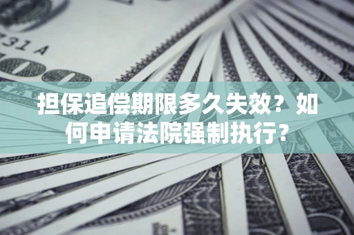 武汉担保追偿期限多久失效？如何申请法院强制执行？