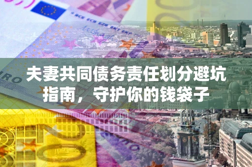 武汉夫妻共同债务责任划分避坑指南，守护你的钱袋子