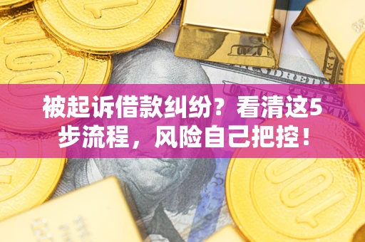 武汉被起诉借款纠纷？看清这5步流程，风险自己把控！