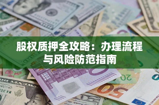 武汉股权质押全攻略：办理流程与风险防范指南