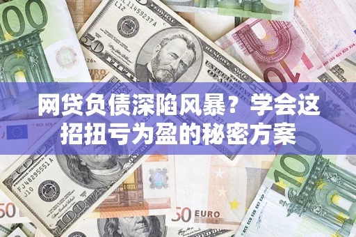 武汉网贷负债深陷风暴？学会这招扭亏为盈的秘密方案