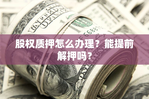 武汉股权质押怎么办理？能提前解押吗？